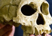 Pourquoi la nouvelle espèce humaine découverte se nomme Homo naledi?