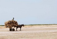 Le réchauffement climatique menace de faire disparaître la mousson au Sahel